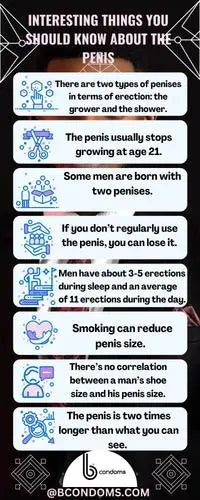 INTERESTING-THINGS-YOU-SHOULD-KNOW-ABOUT-THE-PENIS B Brand